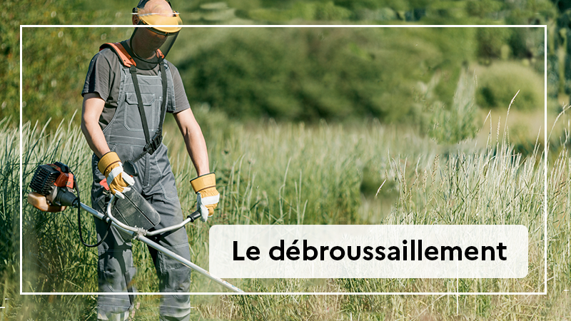 debroussaillement